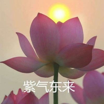 豪门足球风云搜狗官方下载